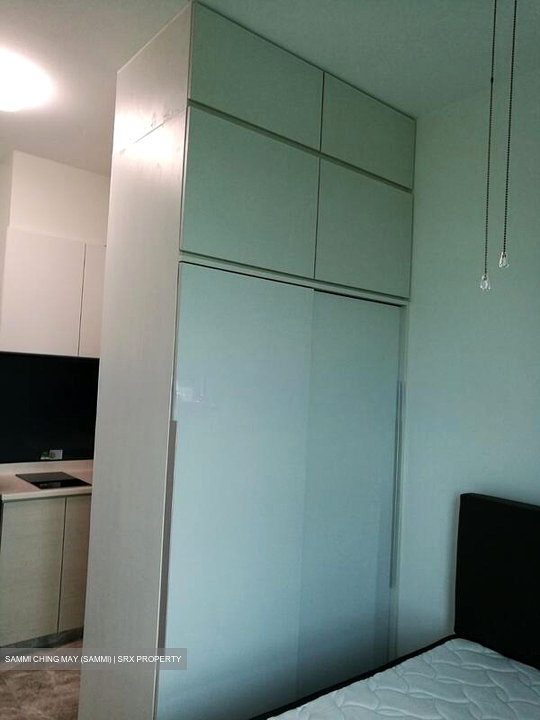 The Santorini (D18), Condominium #498563491